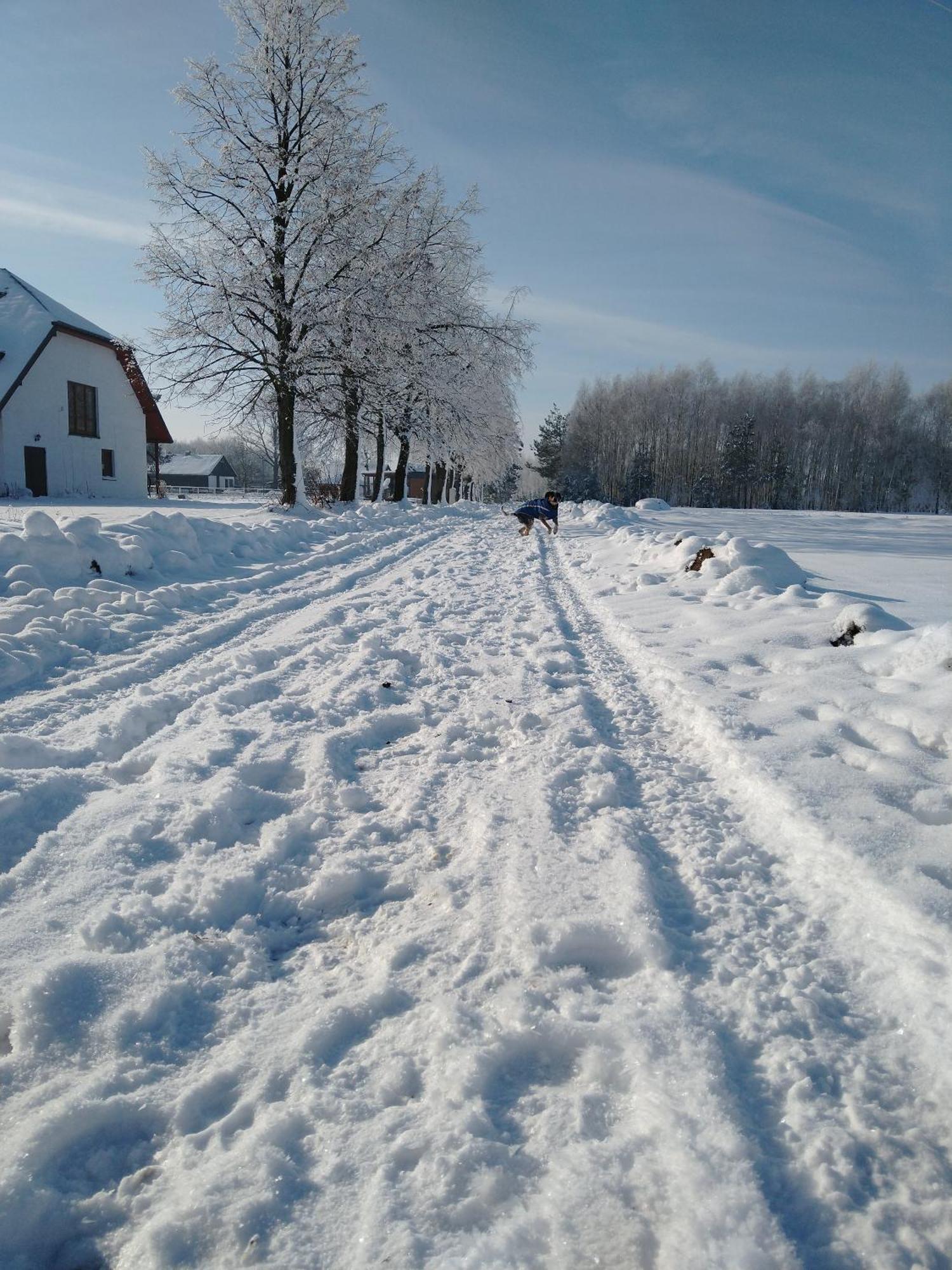 Domek Przy Stajni Bogdanowka Caloroczny Rossosz Buitenkant foto